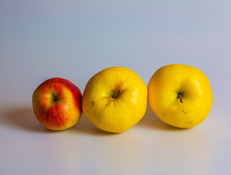 Yellow apples of the Golden Delicious variety on a white background. The concept of environmentally friendly products.