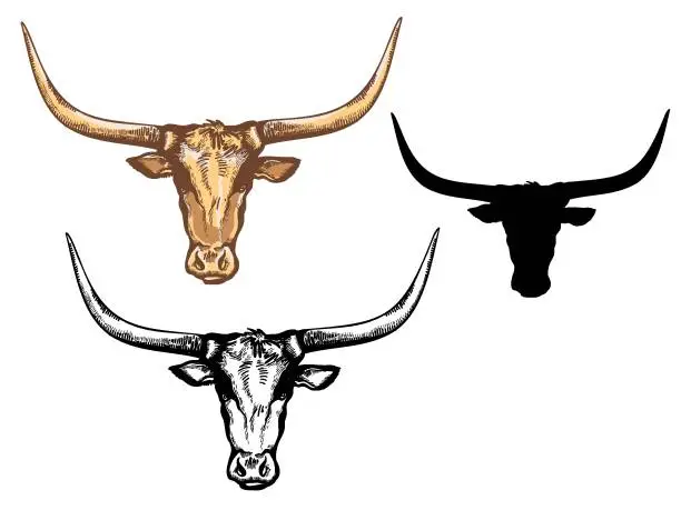 Vector illustration of Bull head hand drawn illustration isolated on white. Vector black silhouette bull head for design