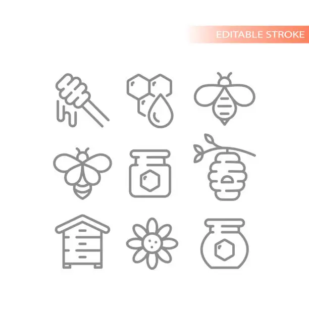 Vector illustration of Honey, bee and honeycomb line vector icon set