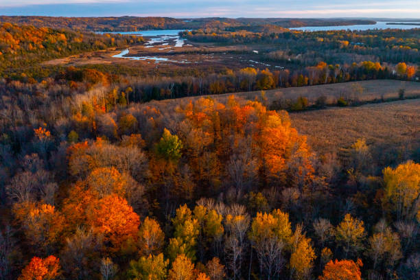 istock Aerial Rice Lake and Trent River, Hastings, Canada 1463857957