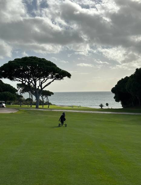 istock Golf bag is located on fairway in golf course 1463861205