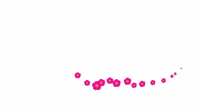 Animated magenta beautiful flowers fly from left to right. Looped video. Concept of spring. A wave of flying sakuras flowers on white background.