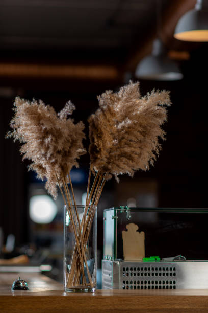 istock A decorative dry branch in a glass vase stands on a beauty table 1463868764