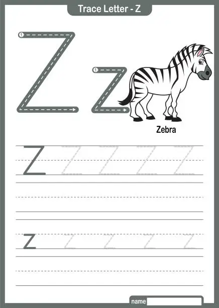 Vector illustration of Alphabet Trace Letter A to Z preschool worksheet with the Letter Z Zebra Pro Vector