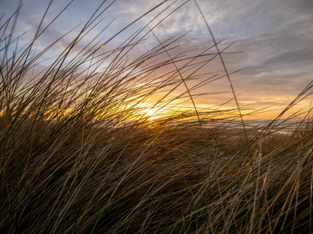 istock Sunsets at Fairbourne beach Wales 1463868926