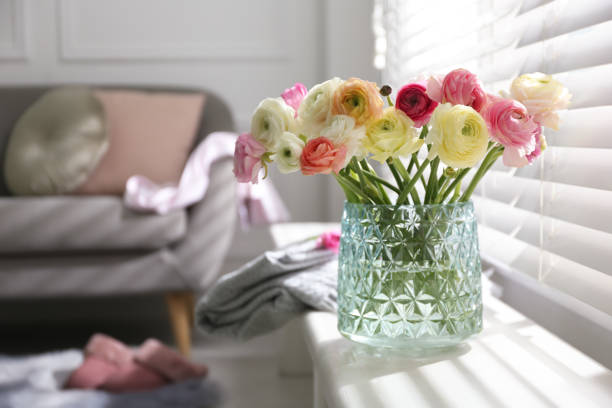 istock Beautiful ranunculus flowers in vase on window sill indoors, space for text 1463868994