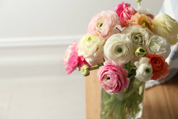 istock Beautiful ranunculus flowers in vase on table indoors, closeup. Space for text 1463869262