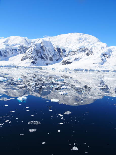 istock Mother Natures Perfection 1463869263