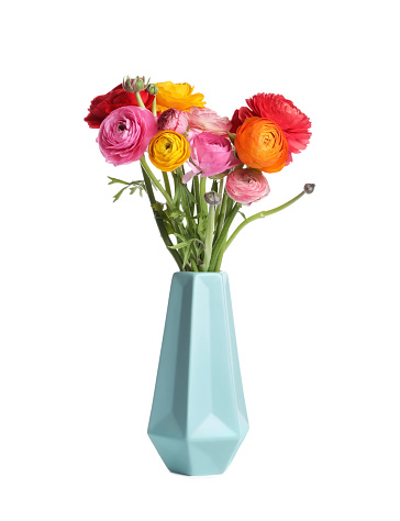 Flower vase, furniture, home decoration, white background