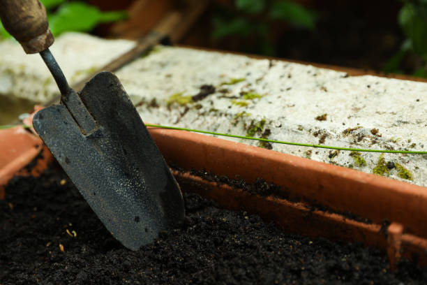 shovel in pot with soil, closeup and space for text. gardening season - agriculture bed botany copy space imagens e fotografias de stock