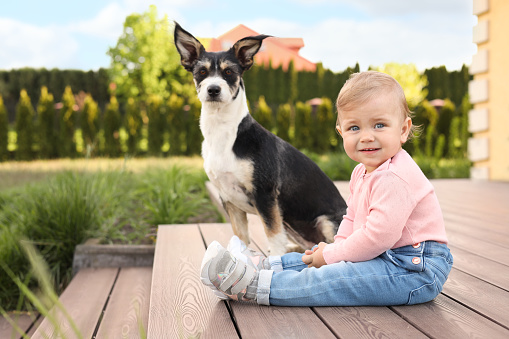 Adorable baby and furry little dog on wooden porch outdoors