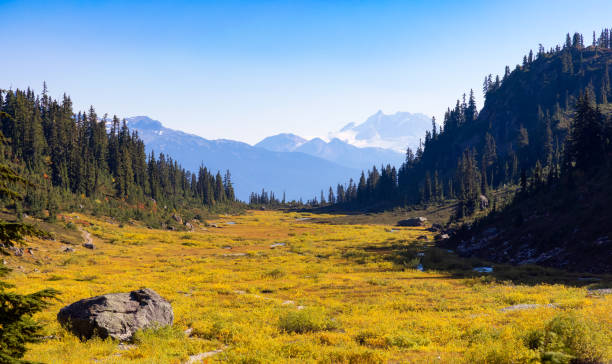 istock Canadian Nature Landscape 1463875236
