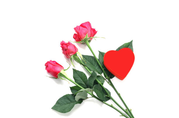 istock Red heart and rose flower on white background. 1463876812
