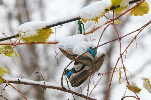 Sneakers abandoned on a wire in the snow hang on the street. Winter background with selective focus