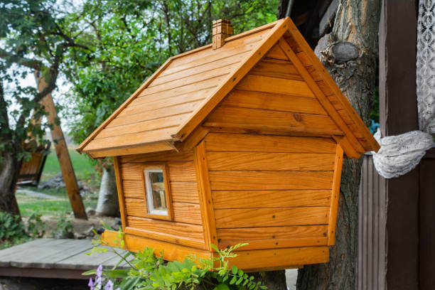 istock Wooden birdhouse, back view 1463878299