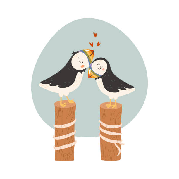 Valentine's day card Cute Puffins couple in love. Valentine's day card concept. Vector Illustration puffin stock illustrations