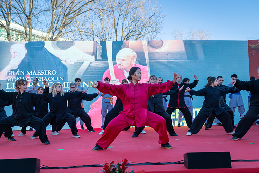 Rome, Italy - February 5, 2023: Citizens of the Chinese community celebrate their New Year party in the Italian capital. The event is open to the public with performances of dance, martial arts and traditional Chinese music. In the photo, martial arts performance in a group.