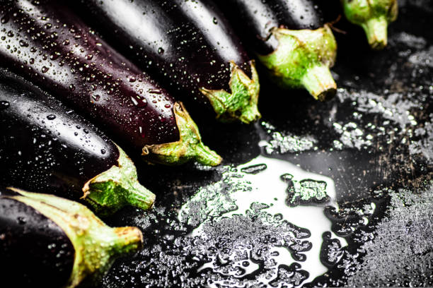 istock Ripe eggplant with droplets of water. 1463879781