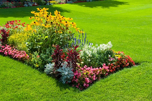 Bright flower bed on a green lawn.