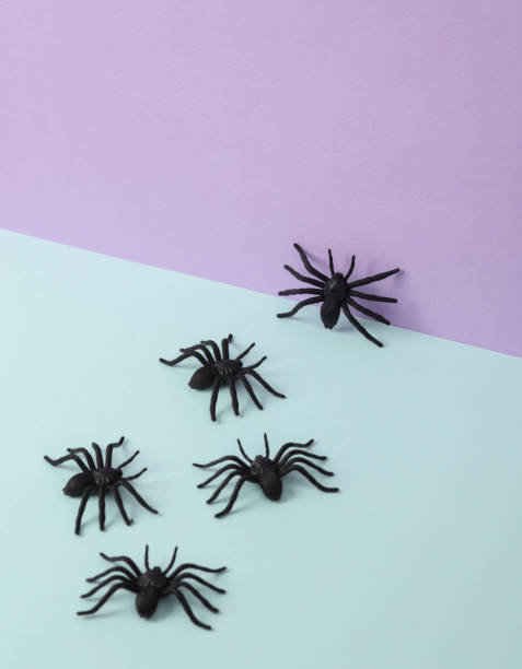 istock Creative halloween layout with spiders on pastel background. Conceptual pop. Minimal still life 1463885811