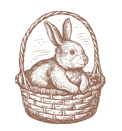 Easter bunny rabbit in basket. Hand drawn cute hare in sketch style. Easter symbol, sketch vector illustration