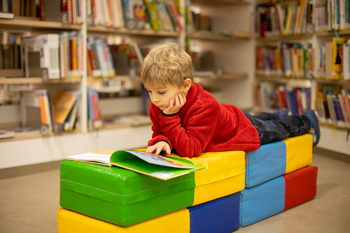 Adorable little child, boy, sitting in library, reading book and choosing what to lend, kid in book store