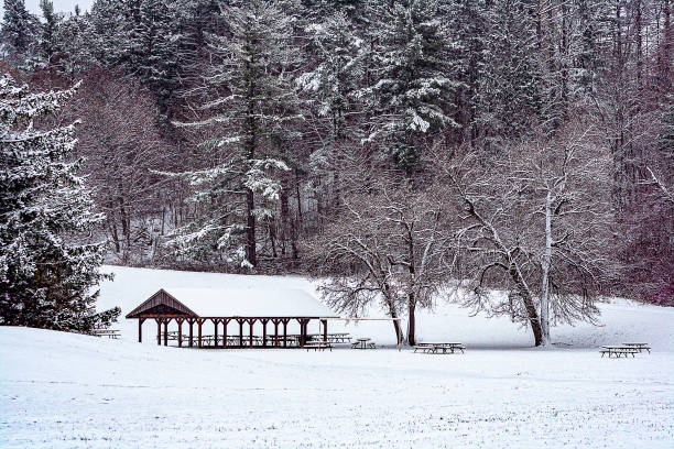istock Snow Scene in Boyd Conservation Area 1463899865