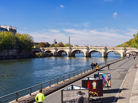 Pont Neuf, the oldest bridge in Paris France and the River Seine on a sunny day