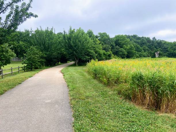 istock Cove Spring Park Trail in Frankfort, Kentucky 1463901572