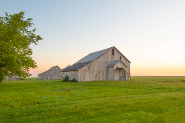 istock Old Weathered Barn-Tipton County, Indiana 1463904749