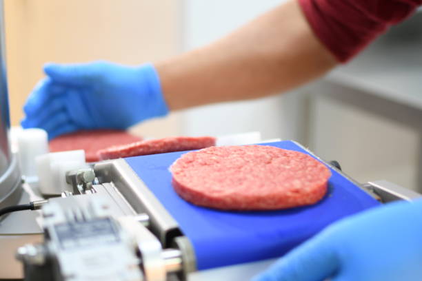 istock hamburger factory in the city 1463905287