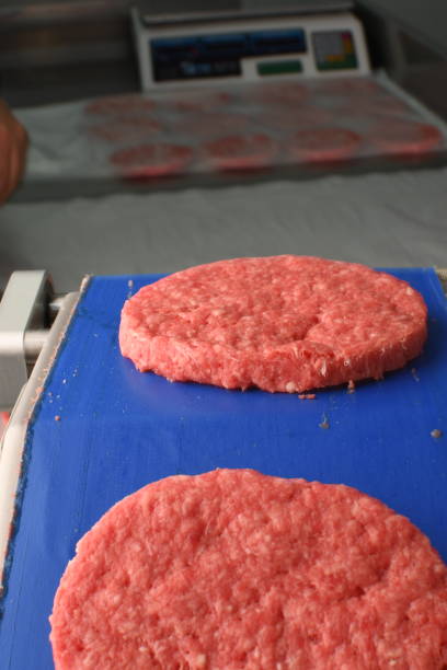istock hamburger factory in the city 1463905290