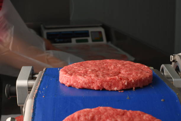istock hamburger factory in the city 1463905304