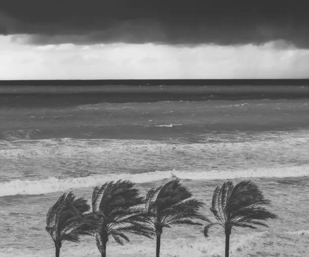 Dark clouds with wide angle calm dark blue ocean in Sarasota, Florida
