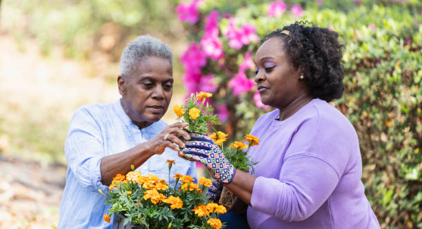 donna afroamericana senior, giardinaggio della figlia - women large build gardening outdoors foto e immagini stock
