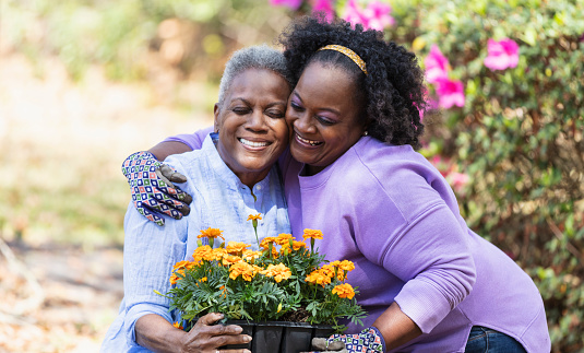A senior African-American woman and her adult daughter gardening together in the back yard. The mother is holding a tray of orange flowers on her lap. They are cheek to cheek, hugging and smiling.