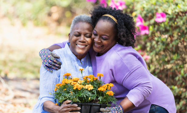 Senior African-American woman, daughter gardening, hug A senior African-American woman and her adult daughter gardening together in the back yard. The mother is holding a tray of orange flowers on her lap. They are cheek to cheek, hugging and smiling. black mother and adult daughter stock pictures, royalty-free photos & images