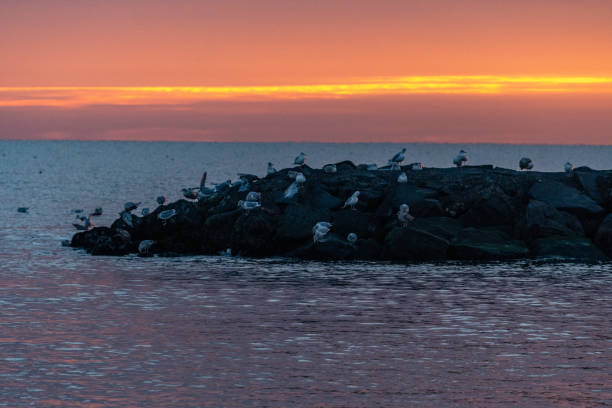istock Sunrise at the beach 1463906927