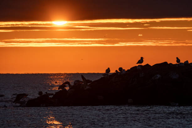 istock Sunrise at the beach 1463906974
