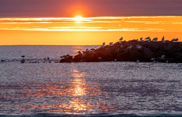 istock Sunrise at the beach 1463907493