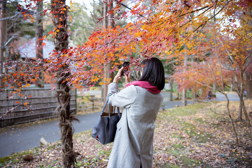 Woman taking photos of autumn leaves