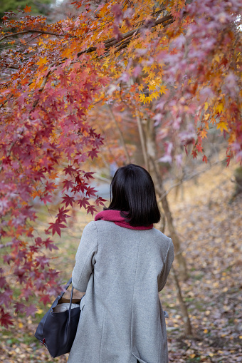 Rear view of woman walking under autumn leaves