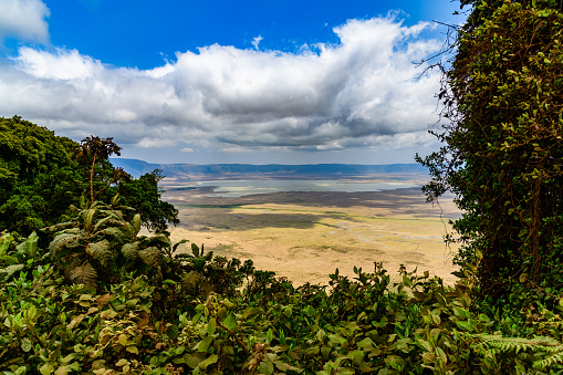 View of Ngorongoro crater in Tanzania. Ngorongoro conservation area. African landscape. WIld nature