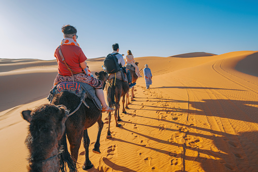 Asian Chinese Tourist Camel caravan going through the Sahara desert in Morocco at sunset
