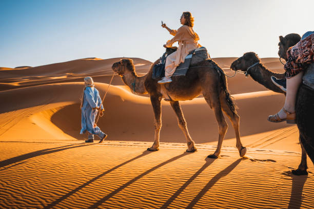 азиатский китайский туристический караван верблюдов, идущий через пустыню сахара в марокко на закате - morocco desert camel africa стоковые фото и изображения