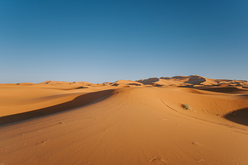 Evening Erg Chebbi Dunes, Sahara Desert in Morocco