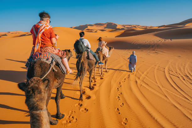 caravana de camellos turísticos chinos asiáticos atravesando el desierto del sahara en marruecos al atardecer - journey camel travel desert fotografías e imágenes de stock