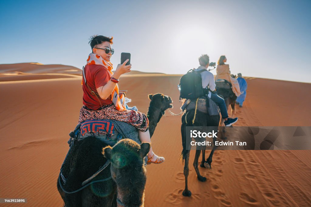 Asian Chinese Tourist Camel caravan going through the Sahara desert in Morocco at sunset Tourism Stock Photo