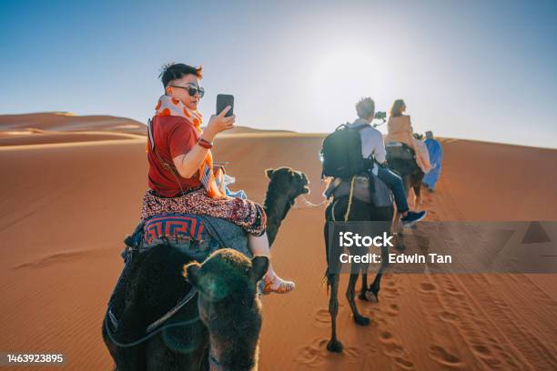 Asian Chinese Tourist Camel Caravan Going Through The Sahara Desert In Morocco At Sunset Stock Photo - Download Image Now