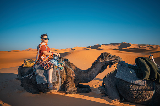 Asian Chinese female tourists getting up riding dromedary camel train crossing Sahara Desert Morocco
